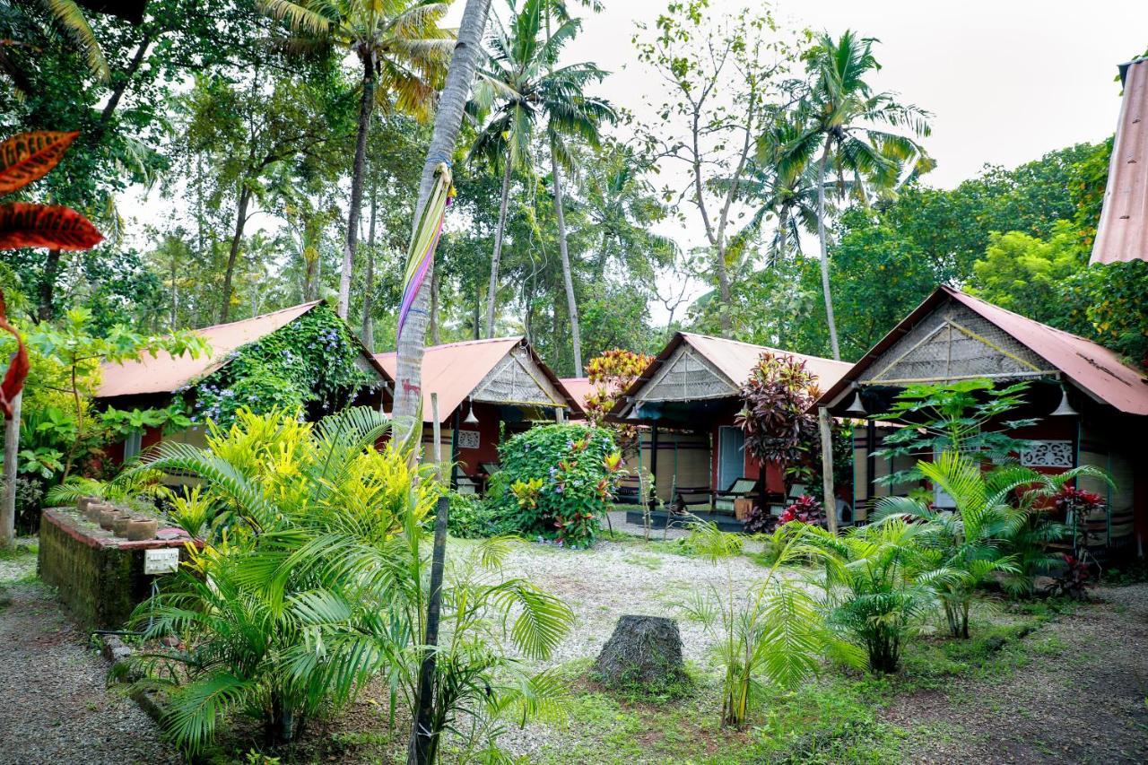The Cliff Cottage Варкала Экстерьер фото