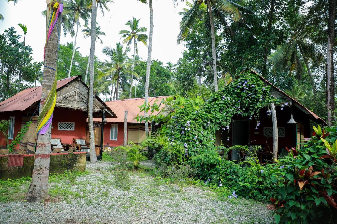 The Cliff Cottage Варкала Экстерьер фото