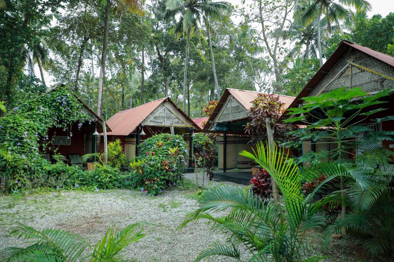The Cliff Cottage Варкала Экстерьер фото